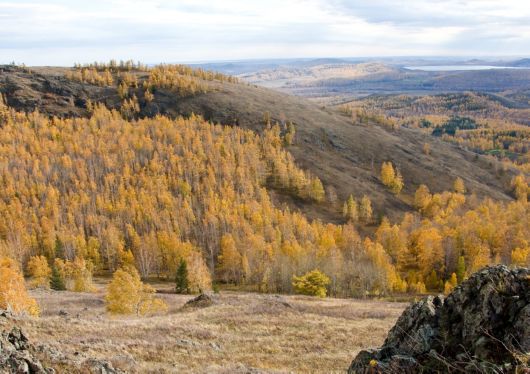 Андрей Серебряков