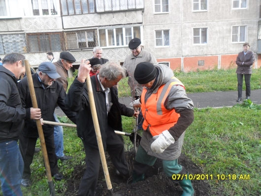 "Зеленый десант" | Фотография 3