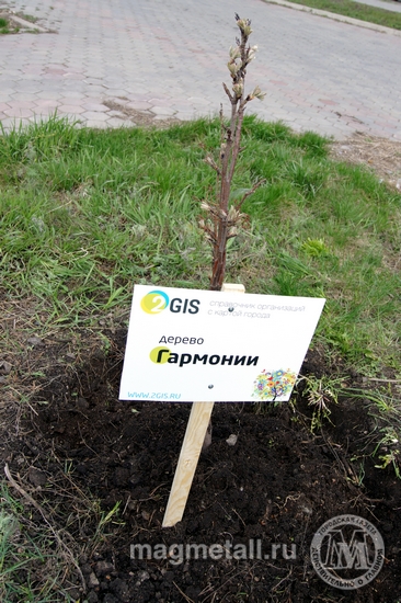 Инна Фокина