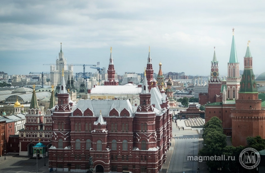 Дарья Долинина