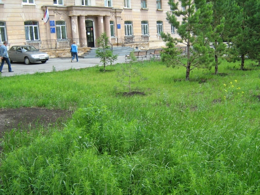 Ковалева Людмила