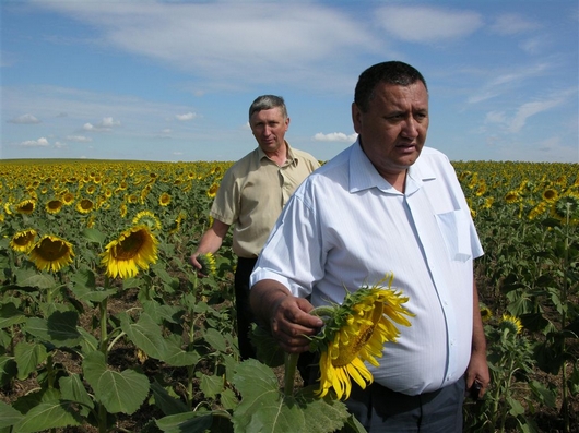 Виктор Струков