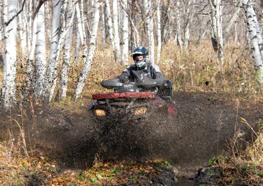 Андрей Серебряков