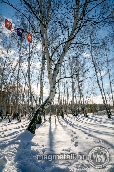 Андрей Серебряков