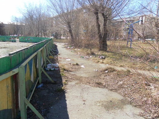 Сорный вопрос | Фотография 2