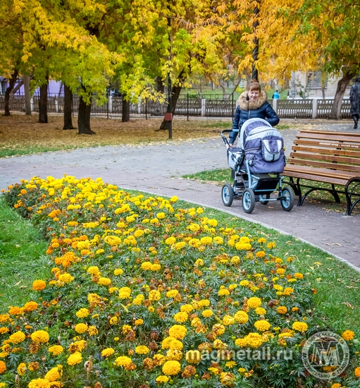 Андрей Серебряков