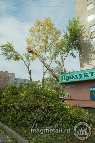 Дмитрий Рухмалев