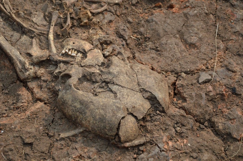 Новые археологические находки обнаружили ученые на Аркаиме | Фотография 1