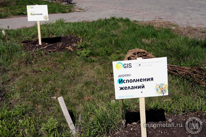 Инна Фокина