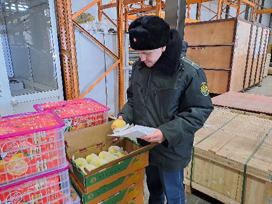 Экзотические фрукты