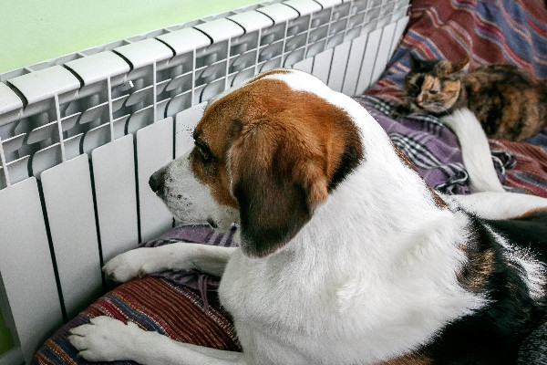 И носки не понадобятся И носки не понадобятся