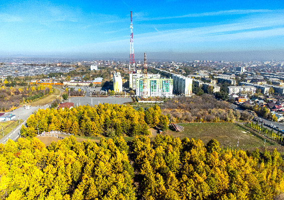 Осень – рыжая подружка