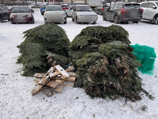 Операция «Ель»