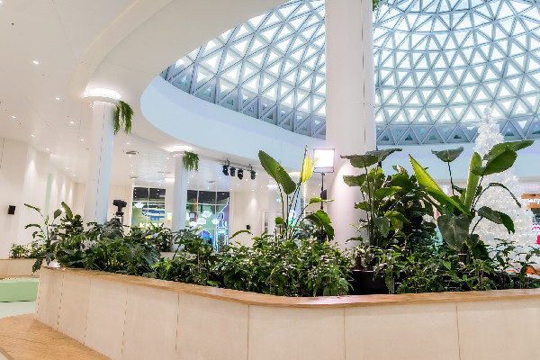 И среди зимы бывает лето