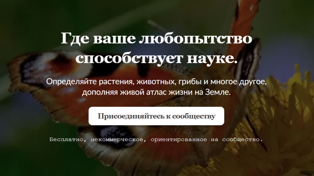 «Живые краски осени» | Фотография 1