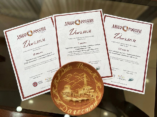 Высокая оценка профессионалов Высокая оценка профессионалов