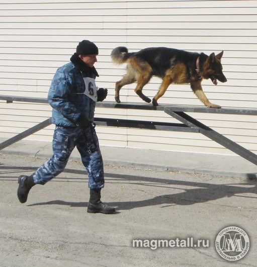 Медаль на двоих | Фотография 2