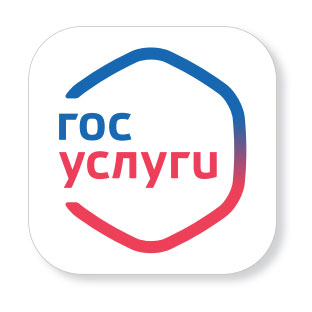 Госуслуги для иностранцев | Фотография 1