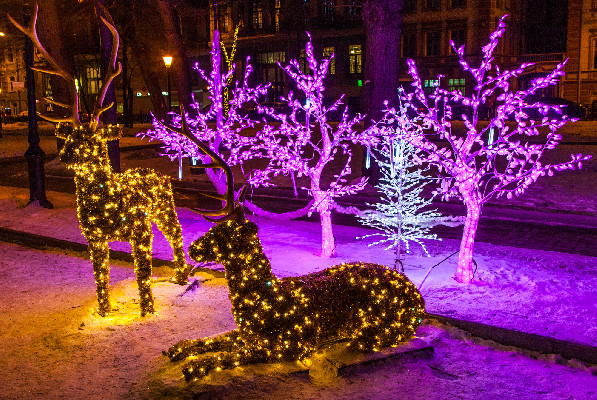 Двенадцать дней на идею