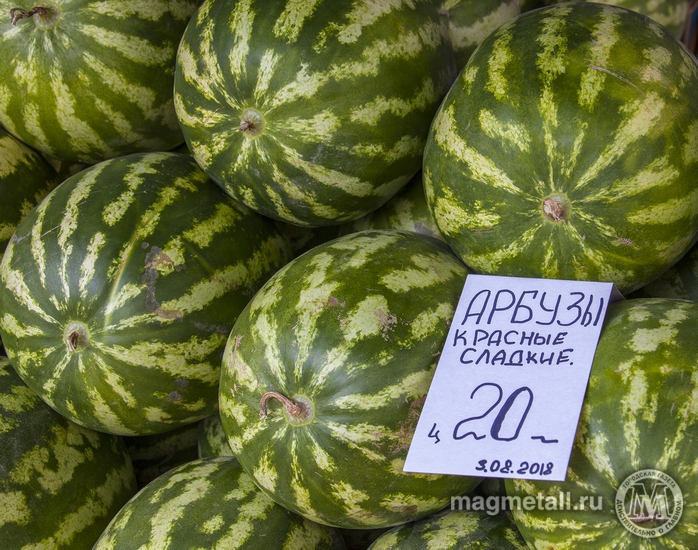 С бахчи - на стол | Фотография 5