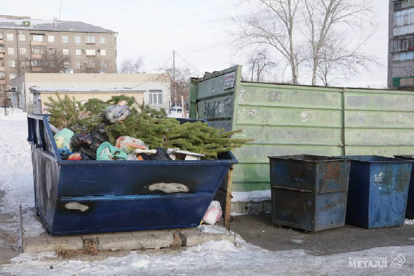 До свидания, ёлочка! 