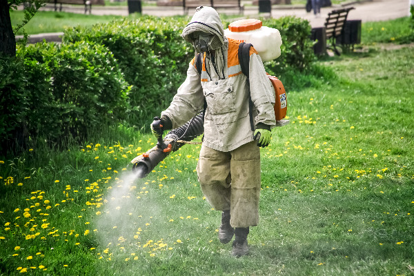 Аккуратнее с прогулками по лесу