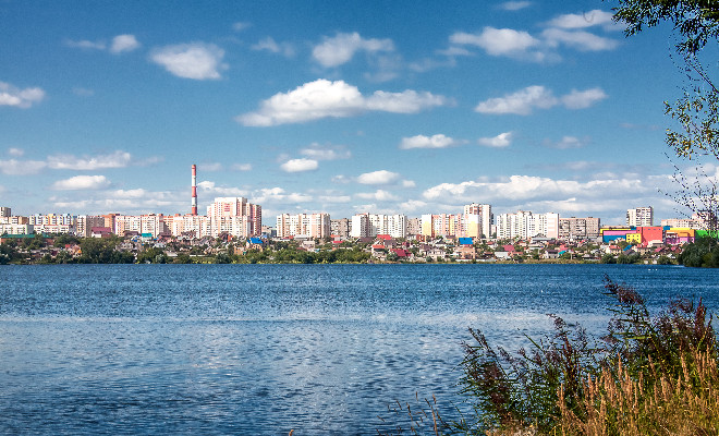 С показателем доверия