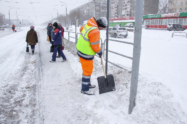Зимние заботы