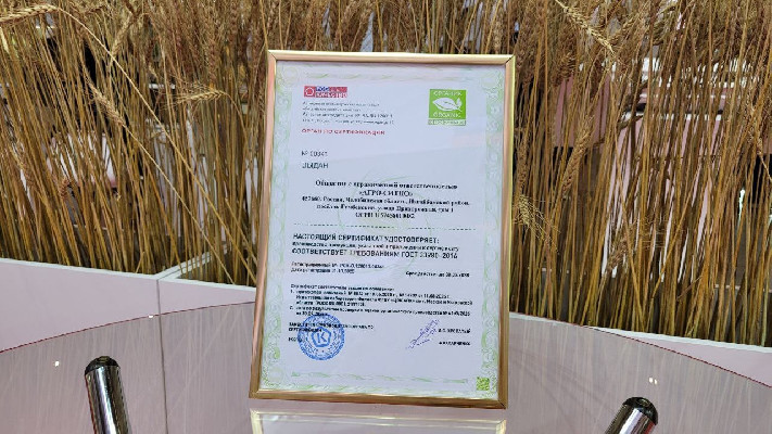 Здоровое отношение к природе и людям Здоровое отношение к природе и людям