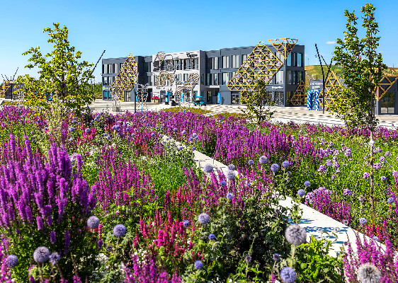 Притяжение цветов и ароматов