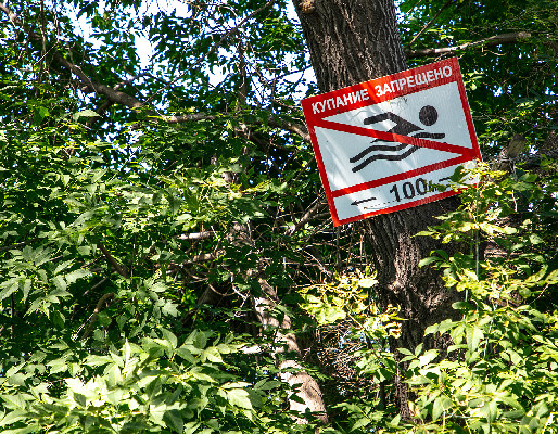 В поисках нарушителей