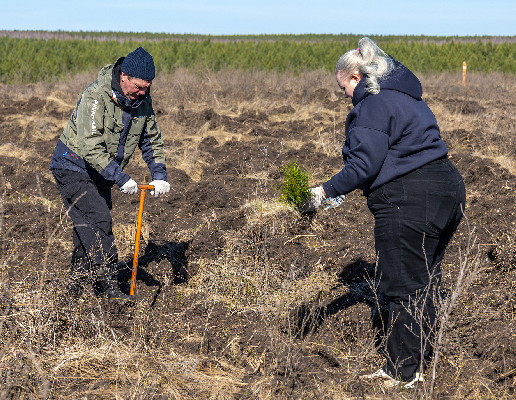 Не про потребление, а про созидание!
