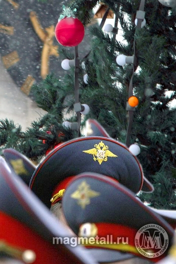 Милицейский пост под новогодней елкой | Фотография 1