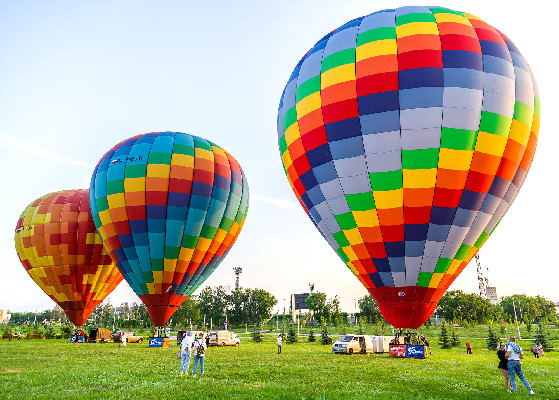 Свобода полёта