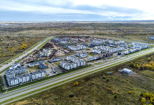 В рамках полномочий