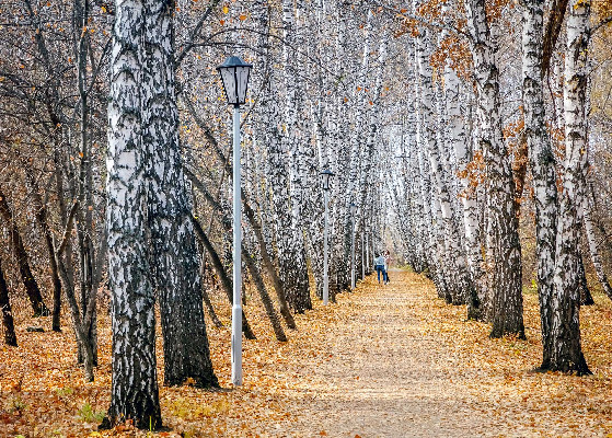 Чего ждать от ноября