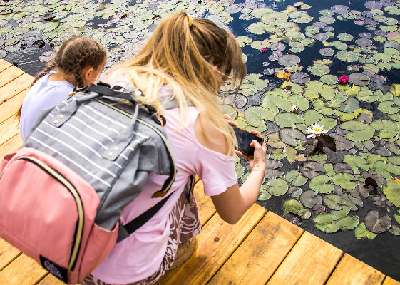 Абсолютный приоритет – забота об экологии Абсолютный приоритет – забота об экологии