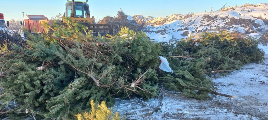 Осознанный подход | Фотография 1