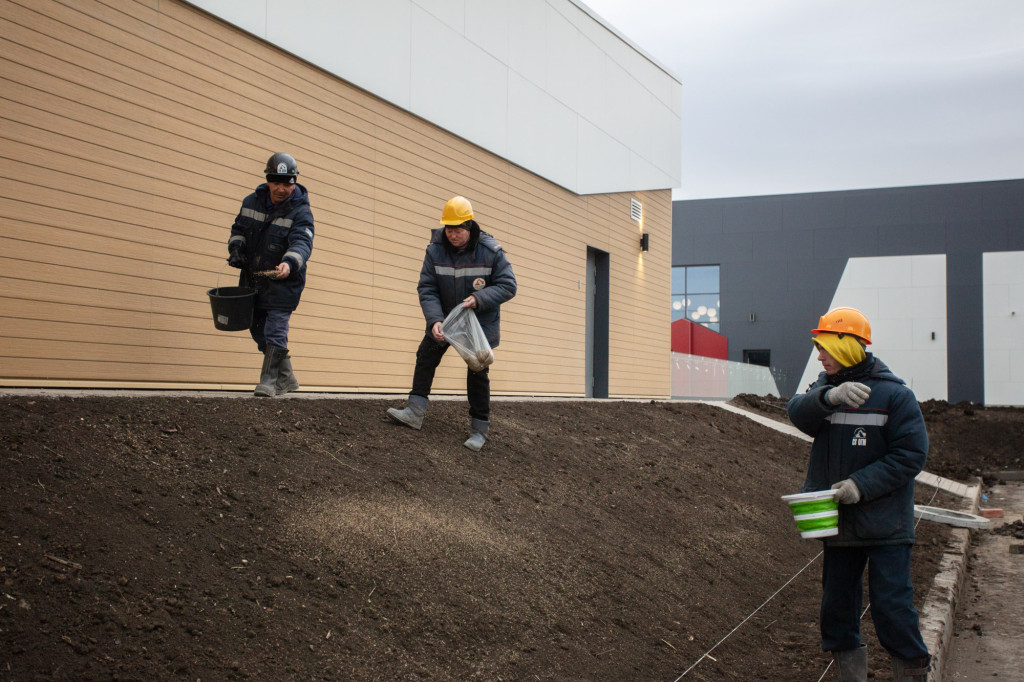 С зелёной каёмочкой… | Фотография 1