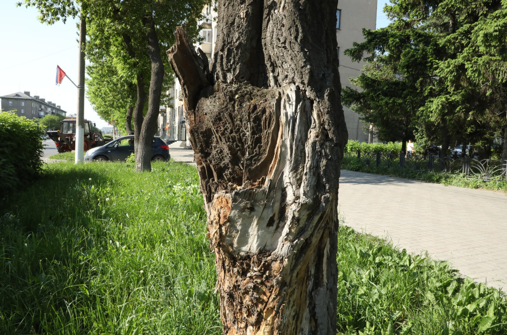 Баланс на городских улицах | Фотография 1
