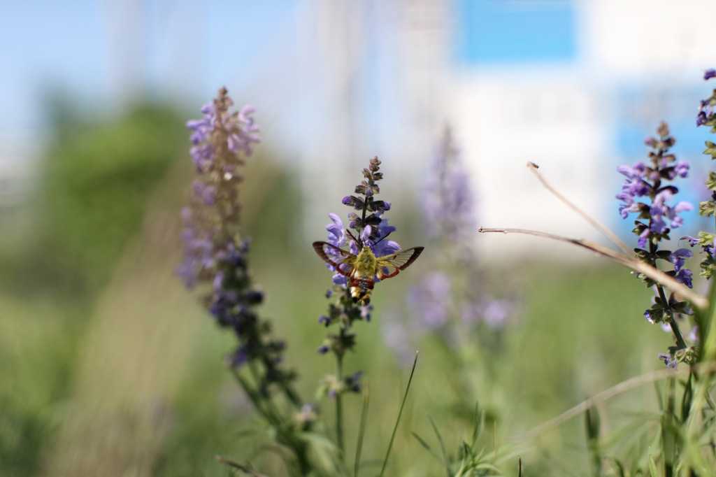  Рекордно рано | Фотография 1