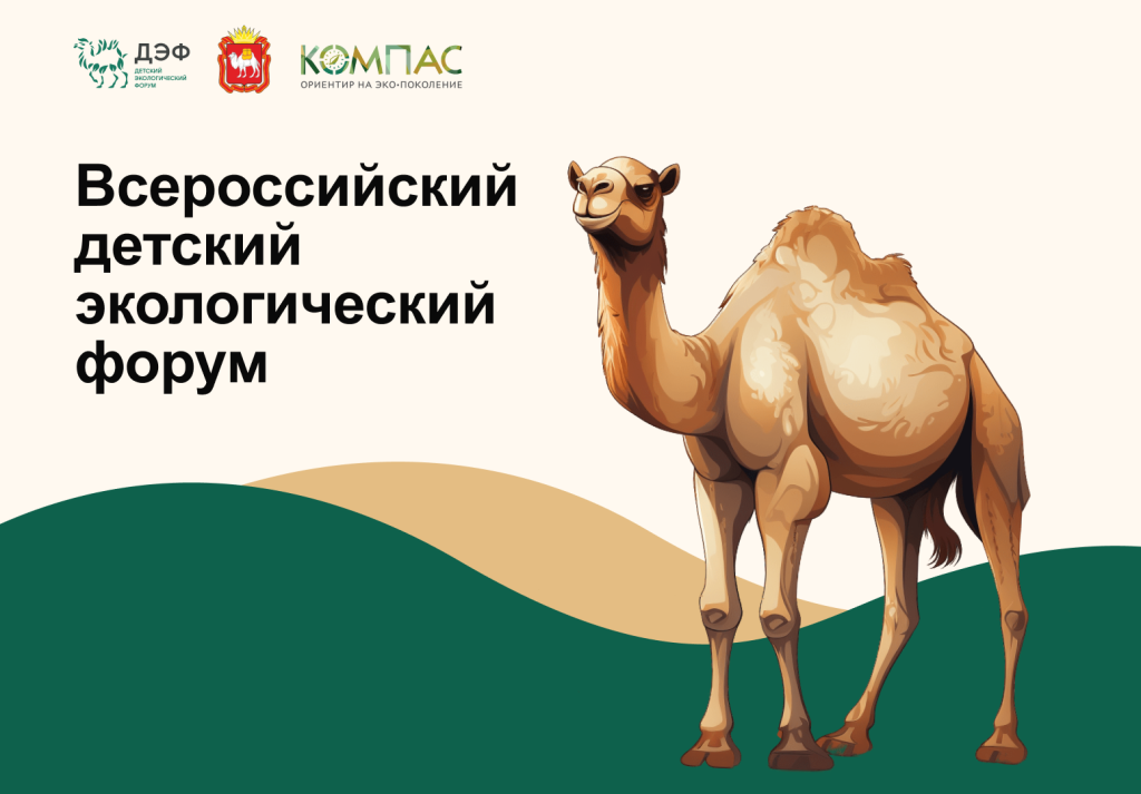 Природа, которая помнит | Фотография 1