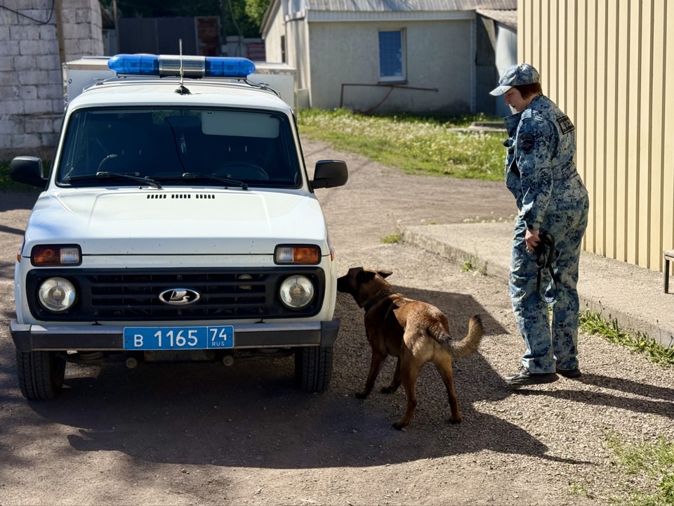 Четвероногие помощники полиции | Фотография 1