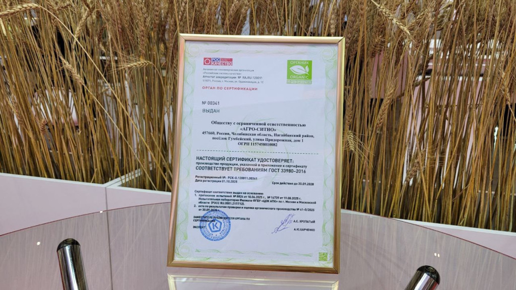 Здоровое отношение к природе и людям | Фотография 1