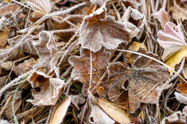 Скользко, холодно, ветрено Скользко, холодно, ветрено