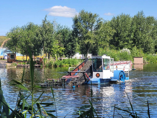 Человек помогает природе