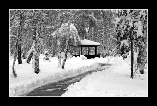 Частицы чудного мгновения | Фотография 1