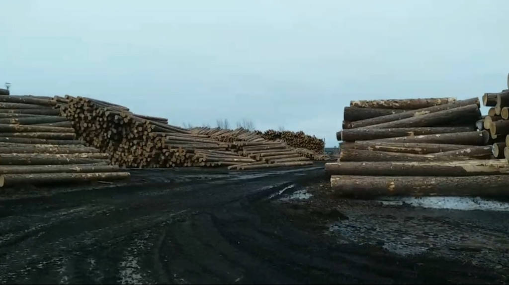 Остановили незаконный экспорт | Фотография 1