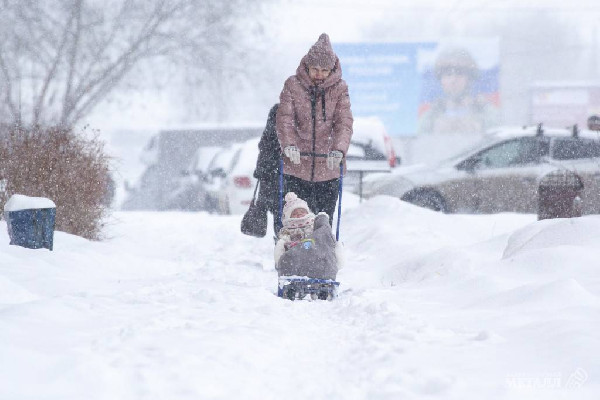 Погода для статистики