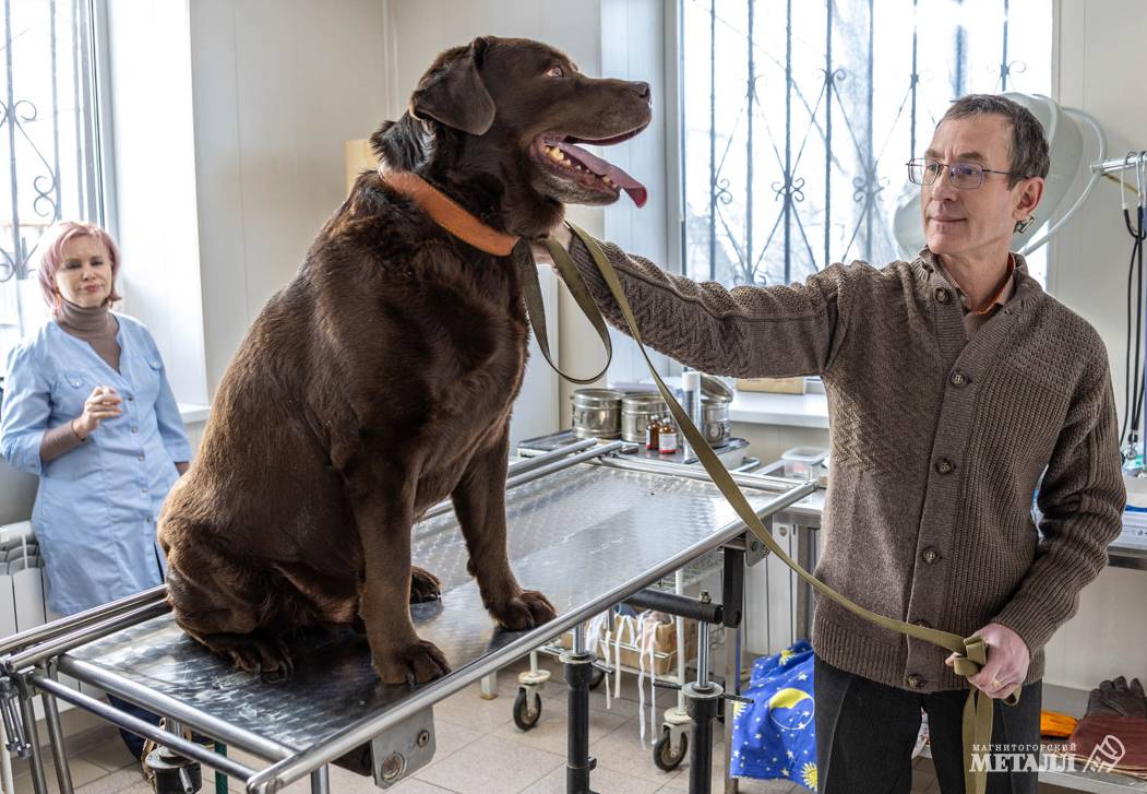 «И корова, и волчица, и жучок,  и червячок, и медведица» | Фотография 3